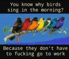 Birds Chirping In The Morning Meme Pin By Karen Rountree On Humor Me Sarcastic Pictures Sarcastic Humor Work Humor