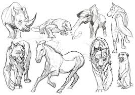 Animals Study Omar Alcazar Animal Study Animals Art Inspiration