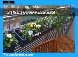 Salah satunya, dengan cara menaruh tanaman hias sebagai dekorasi ruang tamu. Cara Menata Tanaman Di Balkon Yang Sempit The Rumah Property