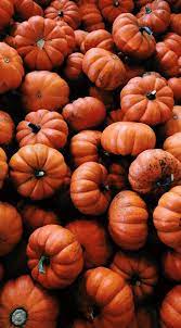 Ultimate Fall Vibes For More Check Out Theguidetotheholidays On Pinterest Iphone Wallpaper Fall Fall Wallpaper Orange Aesthetic