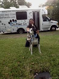 Dotty pet grooming salon, san antonio, texas. Dotty Pet Grooming San Antonio The Y Guide