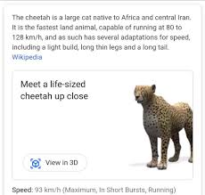 Google 3d Animals Exactly Which Animals Are Featured And How To Master Them In 2020 Animals List Of Animals Animal Projects