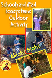 Abiotic Biotic Ecosystems Outdoor Activity Schoolyard Backyard Distance Learning Science Teaching Resources Activities Lab Activities