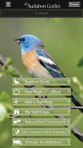Birds In My Area App The 13 Best Bird Watching Apps 2020 Bird Guides Audubon Birds Birds