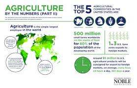 Agriculture By The Numbers Part Ii Infographic Agriculture Infographic Animal Agriculture