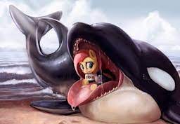 Sets in the java collection framework for this week's lab, you will use two of the classes in the java collection framework: Fluttershy Whale Biologist Fimfetch Net