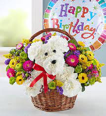 a-DOG-able® in a Basket Birthday Birthday basket in Orlando, FL - Artistic  East Orlando Florist