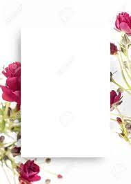 We did not find results for: Beautiful Flower Background Invitation Card Template Stock Photo Picture And Royalty Free Image Image 127850571