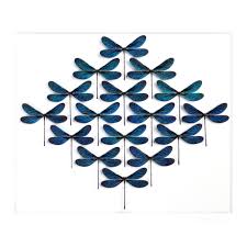 Des Mosaiques D Insectes Insect Art Christopher Marley Spider Art