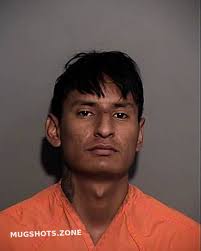 HERNANDEZ DAVID SEGUNDO 02/15/2025