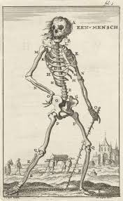 But your walls are better. Geraamte Van Een Mens Jan Luyken Jan Claesz Ten Hoorn 1680 Rijksmuseum Medieval Drawings Memento Mori Art Art