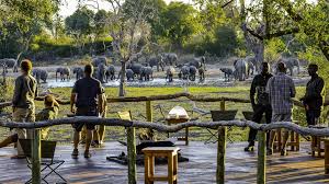 Wir menschen sind alle miteinander verwandt, und wir stammen alle ursprünglich aus afrika. Tourismus In Botswana Alles Steht Still Reise Sz De