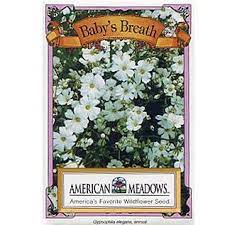 Baby S Breath Seed Packet Flower Seeds Packets Babys Breath Garden Baby Shower Theme
