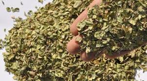 Image result for ‫آویشن‬‎