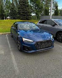 Image result for Navarra Blue 2024 A5