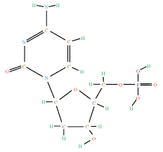 1 2 Biologiai Alapok