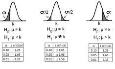 Znalezione Obrazy Dla Zapytania Z Score Critical Table Math Statistics Math Equations