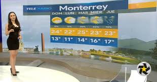 Se renta local en excelente ubicac. Clima De Monterrey Videos De La Chica Del Clima De Monterrey Se Vuelve Un Fenomeno Viral En Las Redes Clima Monterrey Febrero Informacion Sobre