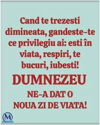 Prin abonarea la 9am confirm ca am peste 16 ani si am citit si sunt de acord cu termenii si conditiile de ultima ora din international pe 9am. 84 Citate Pentru Fiecare Zi Ideas Citate Citate Frumoase BunÄ DimineaÈa