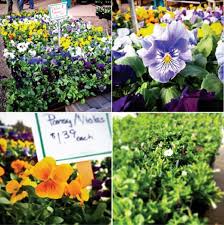 The exception is in metro anchorage where rvs are discouraged. Get Ready For Spring Gardening At Joe S Gardens In Bellingham Bellingham Whatcom County Tourism