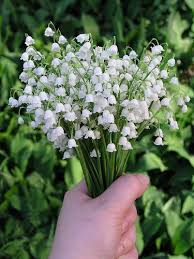 Epingle Sur Muguet Porte Bonheur