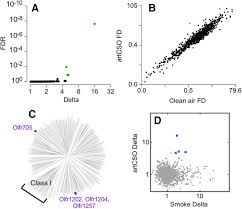 Duct smoke detector for infinity, evolution, or ion controls. Encoding The Odor Of Cigarette Smoke Journal Of Neuroscience