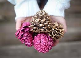 Kozalak Boyama Kozalak Hangi Boya Ile Boyanir Dekordiyon Hiristiyan Dekorasyon Elisleri Cam Kozalagi Elisi Fikirler