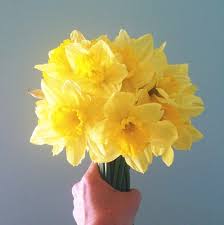 Apr 17, 2021 · a card or some flowers acknowledging their loss are likely to be warmly received by the person or couple going through a miscarriage. One Year After A Miscarriage A Reflection Greta Eskridge