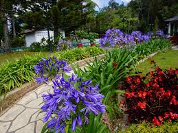 Benarlah kata orang, laluan ke pusat pelancongan terkenal tanah tinggi cameron highlands. Book Twin Pines Guesthouse In Cameron Highlands Malaysia 2021 Promos