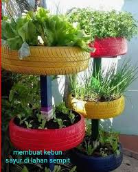 Beberapa bibit yang bisa ditanam antara lain: Membuat Kebun Sayur Di Lahan Sempit Dijamin Berhasil Seputar Informasi Dan Inspirasi