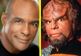 What role would you play