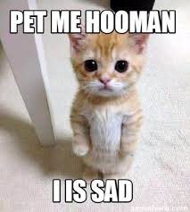 Meme Creator Funny Pet Me Hooman I Is Sad Meme Generator At Memecreator Org