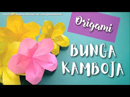 Boy candra lahir dan besar di sumatera barat. Cara Membuat Origami Bunga Kamboja How To Make Plumeria Frangipani Origami Design By Naomiki Sato Youtube
