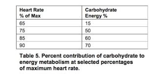 Carbohydrates provide fuel for the central nervous system and energy for working muscles. Aerobic Endurance Athletes Diet Why High Carbohydrate Road Bike Rider Cycling Site