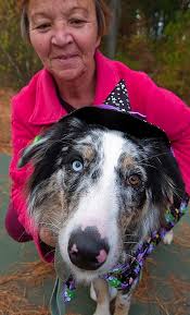 Halloween event at dog park raises funds