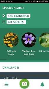 In addition, the app features a web app, consistent updates, detailed descriptions, good photos, and more. 7 Best Plant Identification Apps For Android Android Apps For Me Download Best Android Apps And More