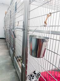Please be prepared to pay by cash or check. Every Single Dog From A Kansas City Shelter Found A Home Thanks To Super Bowl Star S Promise To Pay Fees Cnn