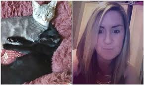 Police investigating fears that a serial cat poisoner is