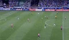 Voir en direct les émissions de la une, tipik, la trois et des chaînes radio de la rtbf Best Palmeiras Cobertura Gifs Gfycat