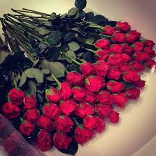 Mazzo sbalorditivo fatto delle rose rosso scuro e bianche. Russia Instagram Http Russia Instagram Tumblr Com Red Roses Flowers Beautiful Roses