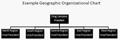 Geographic Org Chart Business Organizational Structure