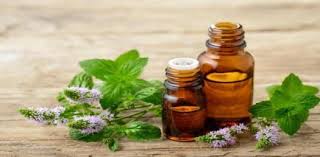Essential oils are aromatic, concentrated plant extracts that. Essential Oil Benefits Trivia Questions Quiz Proprofs Quiz