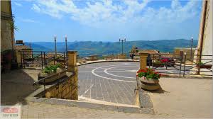 Image result for Sutera debilis