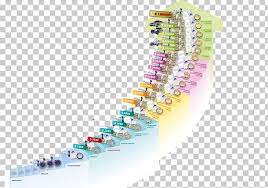 Plan de afaceri spalatorie auto. Oriflame Afacere Stairs Marketing Plan Company Png Clipart Afacere Angle Business Plan Career Company Free Png