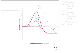Maybe you would like to learn more about one of these? Chapter 7 Flashcards Quizlet