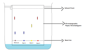 Paper Chromatogram Google Search Paper Line Chart Diagram