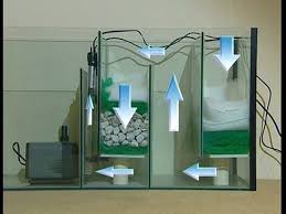 Filtro Sump Aquarium Fish Tank Aquarium Fish Saltwater Aquarium Setup