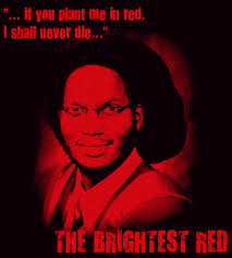 Matthew Kupakwashe Murrell