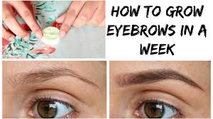 It can take up to a year for your brows to fully grow in, but the. How To Grow Your Eyebrow In A Week Naturally Very Effective Youtube