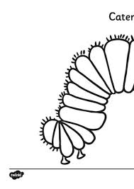 Registration on or use of this site constitutes acceptance of our terms of serv. T T 1229 The Very Hungry Caterpillar Colouring Sheets Flip Book Pages 1 29 Pubhtml5